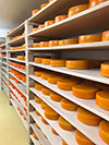 Tecnologías de maduración de queso Agrometal